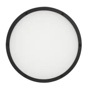 American DJ ELP18L60 Frost Filter for ENCORE-LP18IP - 60 Degree