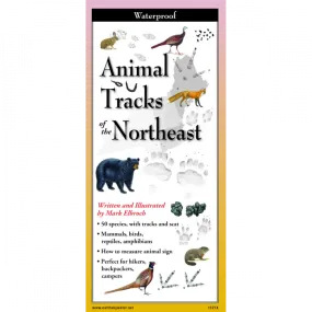 Animal Tracks of the Northeast