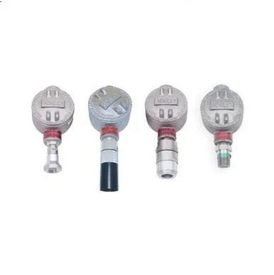 RKI Instruments S2 Fixed Gas Sensor/Transmitter