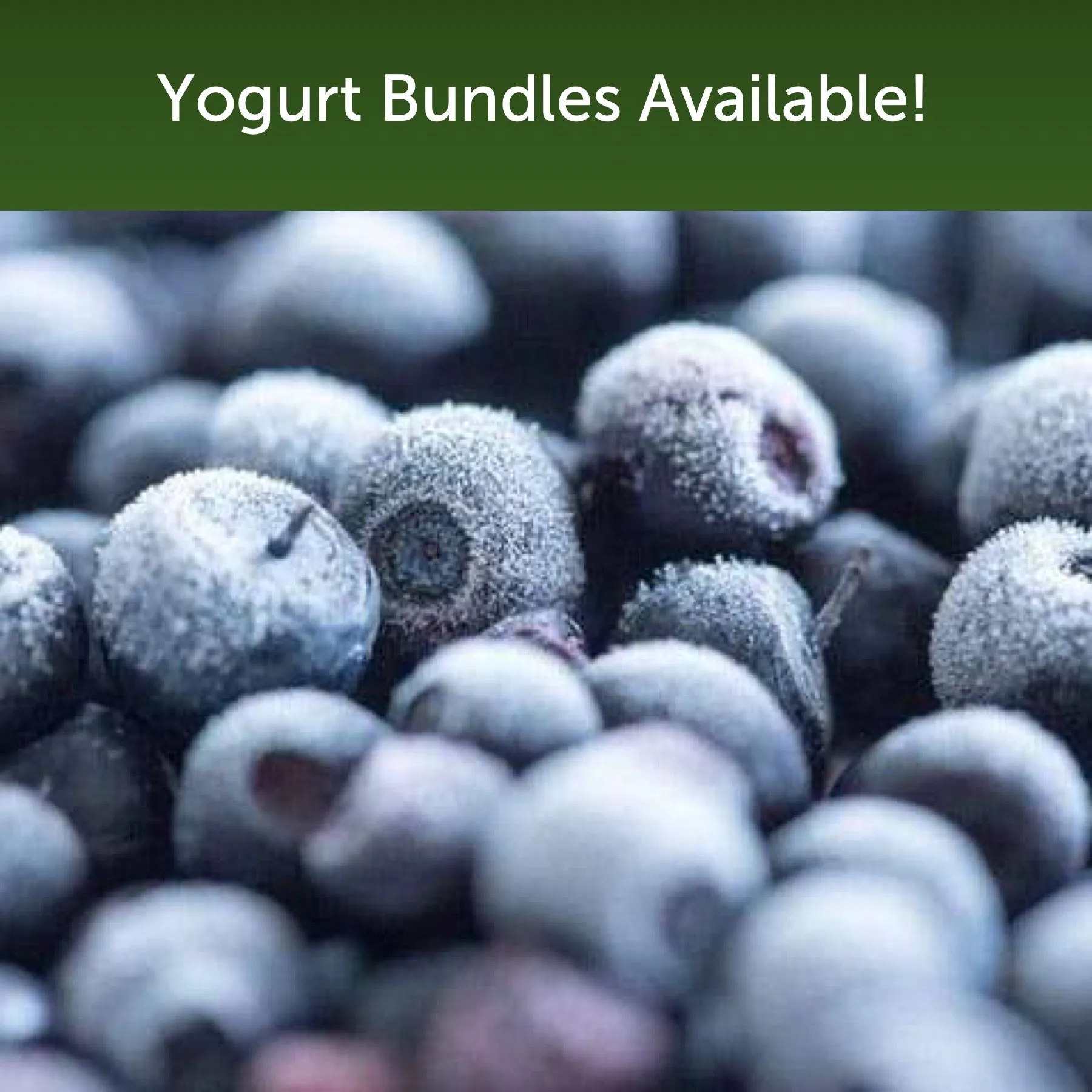 Whole Blueberries (Frozen) 1kg